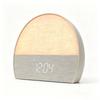 Digital Electronic Fabric Wake-Up Light & Smart Sunrise Alarm Clock with White Noise Bluetooth Speaker FM Radio-for Sleep