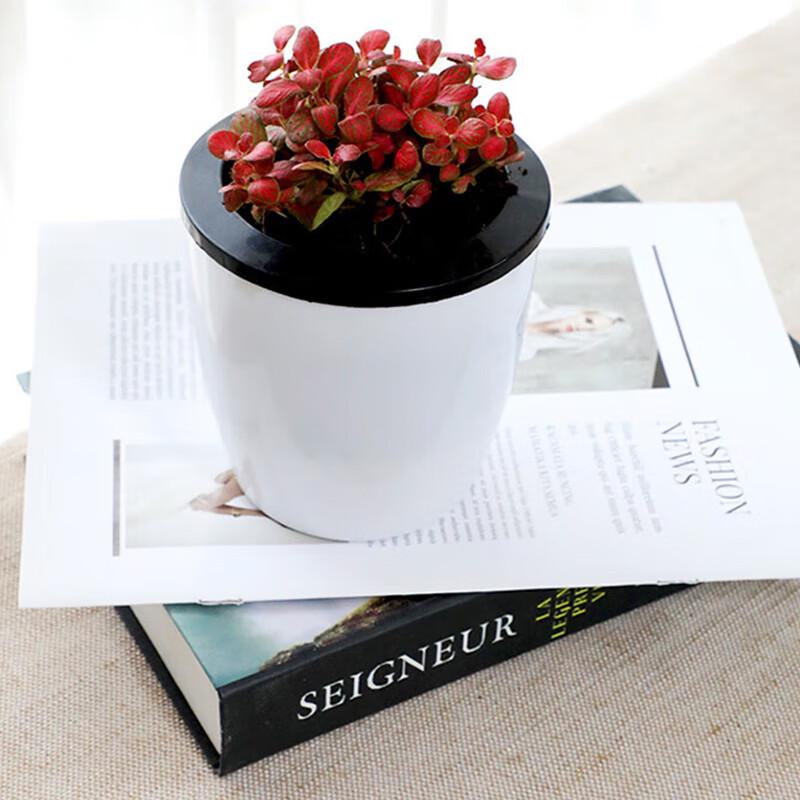 Devodo Self-Watering Resin Planter Pots (3-Pack)