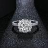 925 Silver Brilliant Cut Diamond Test Passed Moissanite Women Ring 1 Carat D Color Brilliant Cut Vvs1 Moissanite Rings For Women