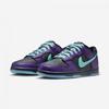 Nike Dunk Low Retro Ltd Hwn Ib2267 001