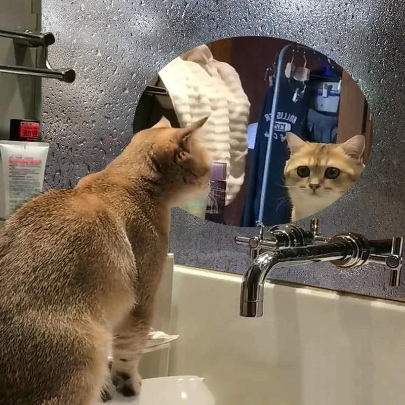 2 шт. Автомобильное зеркало заднего вида, непромокаемая пленка, противотуманная наклейка, прозрачная пленка для зеркала, непромокаемая пленка для автомобиля, автомобильные аксессуары