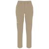Salewa Puez Durastretch Cargo Pants