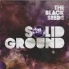 CD BLACK SEEDS - Solid Ground SBCD0011 Sonner Kollekti 2008 Новая Зеландия Регги, Ска и Даб