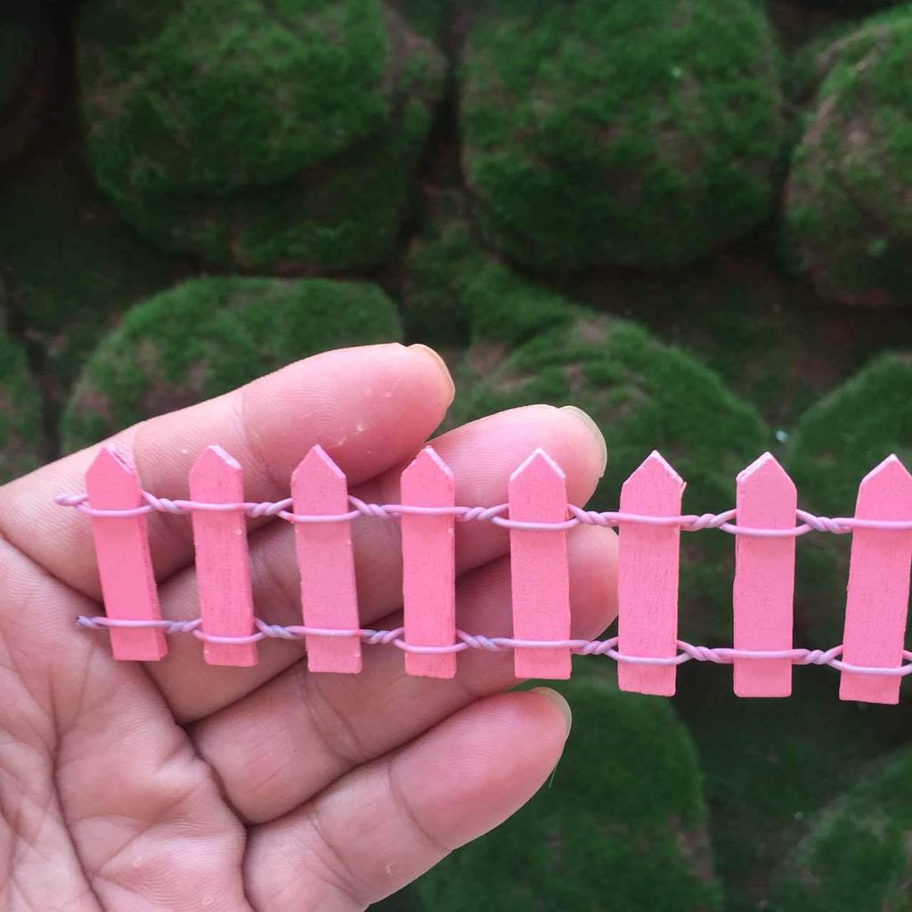 Набор из восьми мини-суккулентов на деревянном заборе