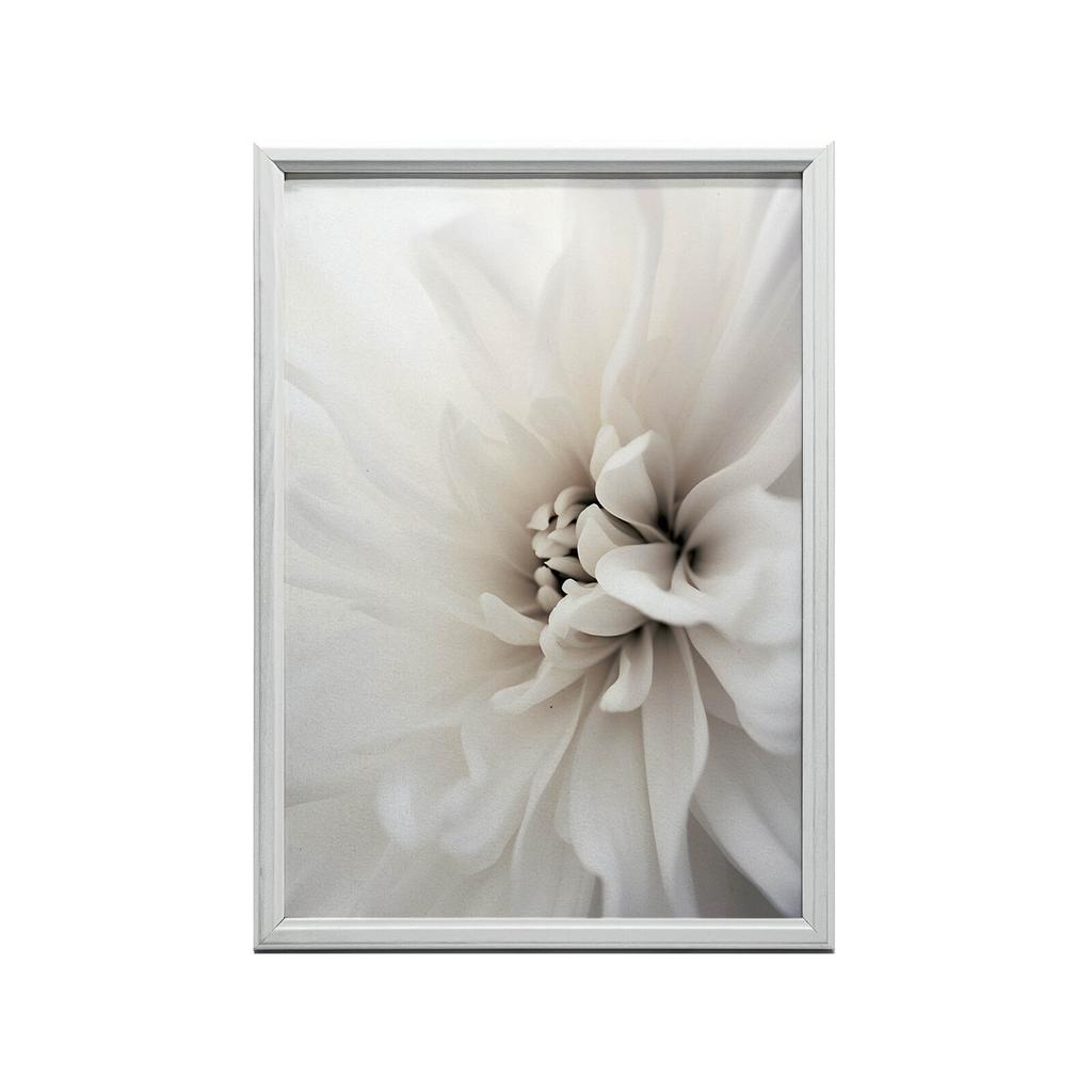 Delicate White Dahlia Delicate White Dahlia, 30X40 Cm, Gold Aluminum Frame, 230 Gsm Matte Paper