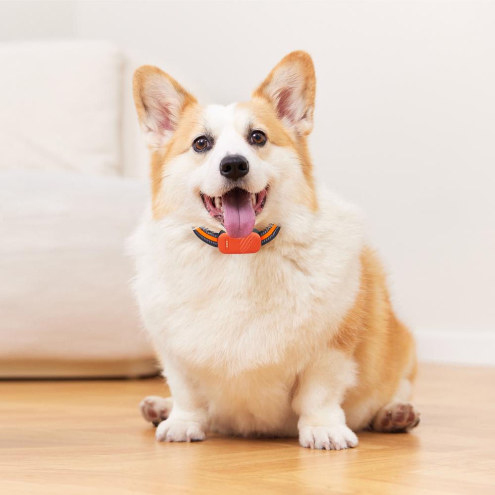 Трекер для домашних животных, GPS, водонепроницаемый электронный забор, ошейник для собак и кошек, предотвращение потери, множественное позиционирование