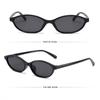 Black Shades Outdoor Sunglasses Oval Frame Travel Goggles British Style Driving Glasses