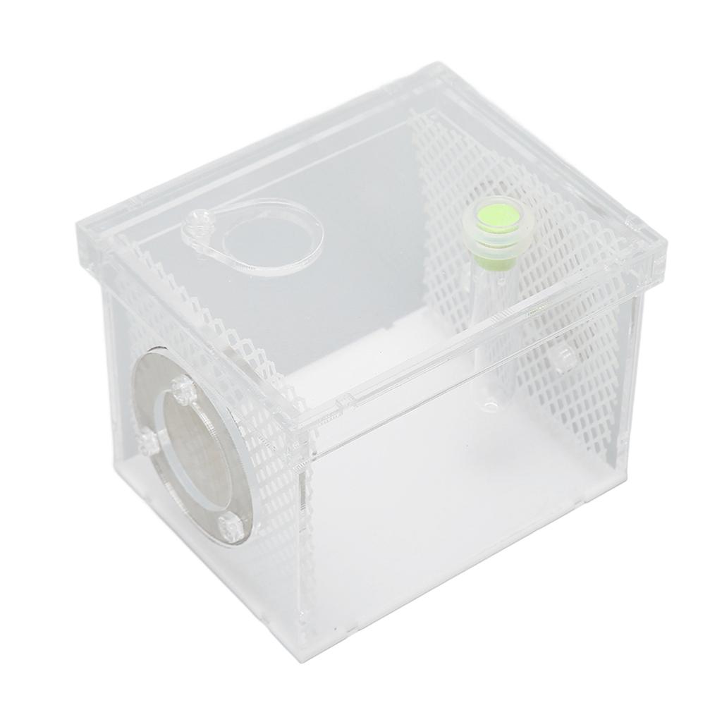 Reptile Insect Enclosure Tank Mini Acrylic High Transparency Moisturizing Reptile Insect Breeding Box S