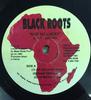 LP Record BARRY BROWN - I'm Not So Lucky NONE Black Roots 2002 Jamaica Reggae, Ska & Dub Used