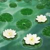 5pcs Fake Lotus Flowers Water Lily Simulation Wreaths for Pool Fish Tank Decoration Everlasting Dry Flowers Home Decor