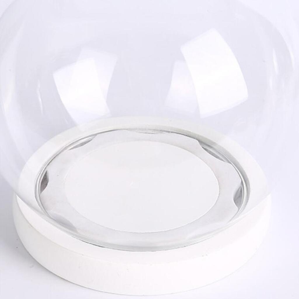 Mini Glass Dome Container Decorative Dome Clear Glass Dome with Base Glass Dome for Flower Small Plant Decor Round Jar Display C