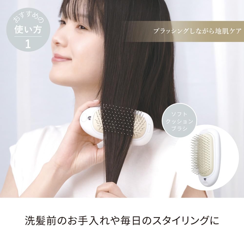 FESTINO Салонный уход Быстрая ионная щетка Уход за кожей головы Насадка-щетка с отрицательными ионами Моющаяся Компактный размер Подарок (СМХБ-028) [Волосы и уход] (белый)