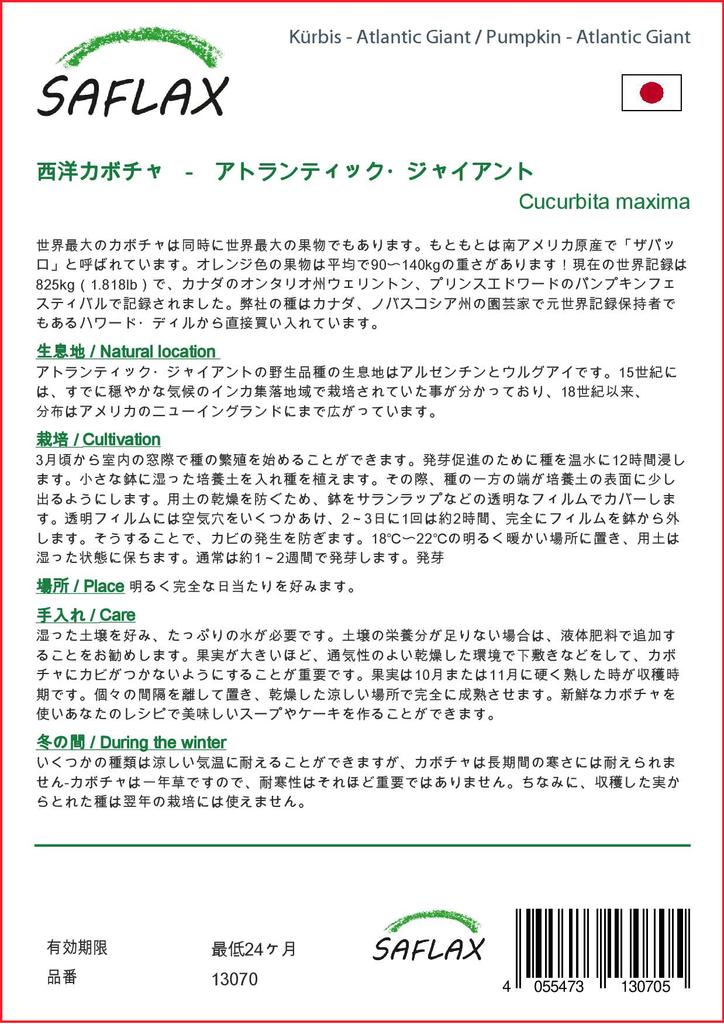 SAFLAX Тыква - Атлантический Гигант - 7 семян - Cucurbita maxima