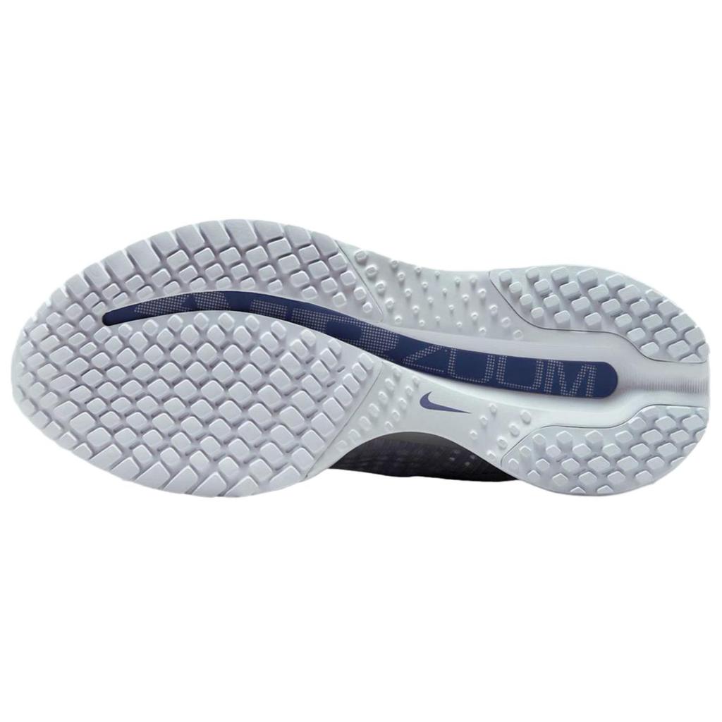 Nike Женские кроссовки Pegasus Premium Football Grey Metallic-Platinum HQ2593-006