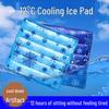 Waterless Cooling Cushion: Anti-Bedsore, Comfort for Elderly, Relieves Pressure and Pain, Perfect for Summer Use.