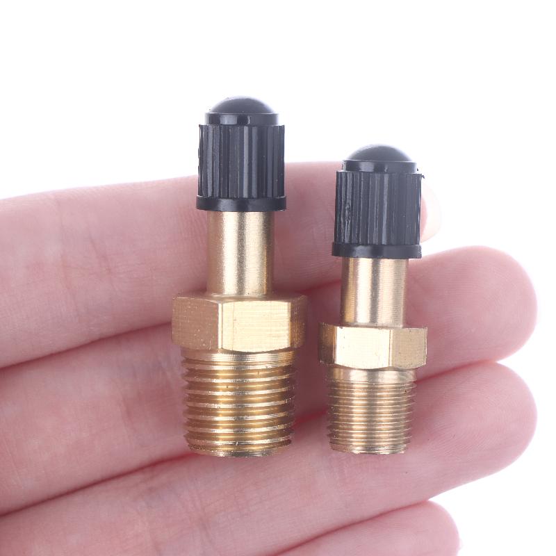 1Pcs Anti Corrosion Schrader Valve 1/4 NPT 1/8 NPT M10 For Air Compressor Tank Automobile Tire Core