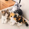 New Simulated Cat Toy Cute Kitten Plush Doll Children Comfort Pet Pillow