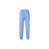 Nike Спортивные флисовые штаны-джоггеры мужские, низ Polar-Blue BV2738-450