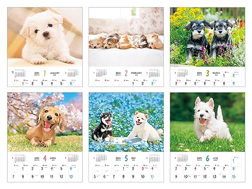 Пушистый щенок (Календарь Impress 2024)