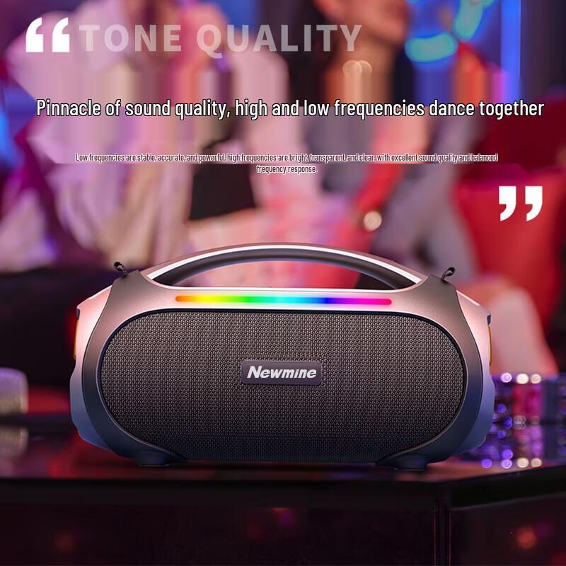 Высокомощная портативная Bluetooth-колонка Newmine N515, штекер CN (адаптер в комплекте)