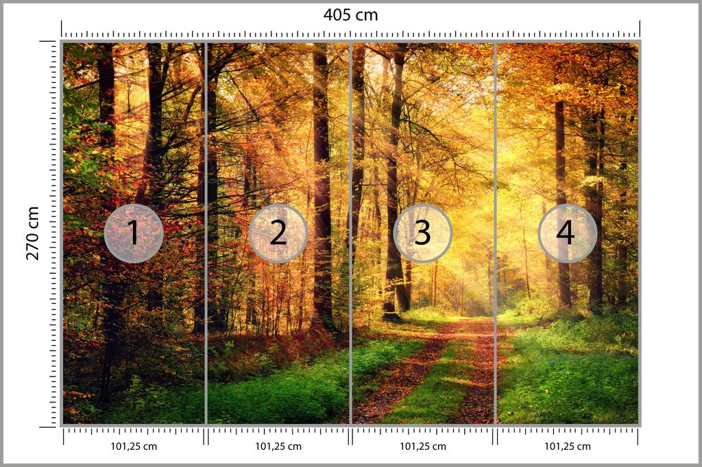 Photomural Forest Autumn Colors Washable Fleece 405x270