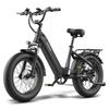FAFREES F20 ROVER All-terrain Electric Bike with 48V 15AH Battery