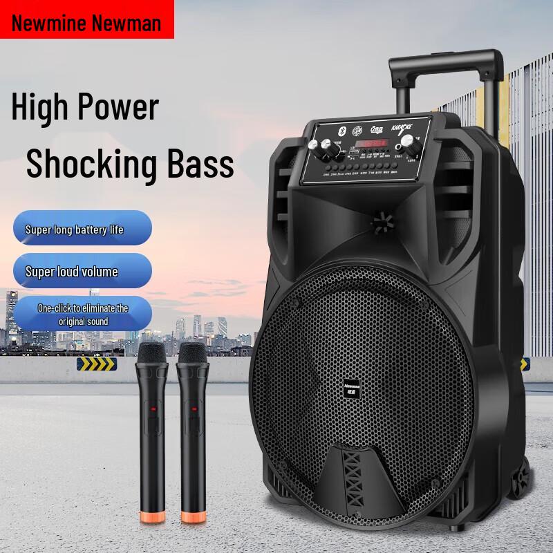 Newmine N509 Portable Outdoor Karaoke Speaker