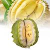 Removable Plush Durian Toy Dolls Soft Room Decoration Ornament Gifts Children