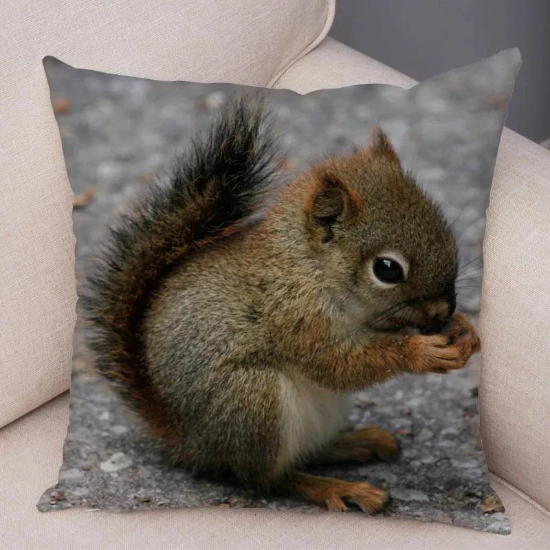 Милая наволочка с белкой, наволочка, чехлы для подушек, домашний декор, подушка с домашним животным, наволочка, супермягкий полиэстер, чехлы для подушек