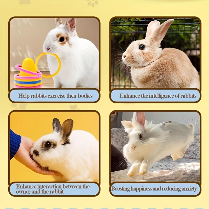 Rabbit Chew & Ring Toss Toy Set, Anti-boredom Play for Small Pets, Random Color