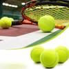Non-Toxic Pet Playing Balls Elasticity Practice Ball New Tennis Balls  Tennis Club