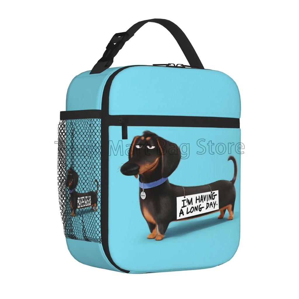 Такса Собака Принт Многоразовая Изолированная Сумка-Охладитель Для Обеда Термальная Сумка-Холодильник Bento для Мужчин Женщин Офиса Пешего Туризма Кемпинга Пикника Пляжа