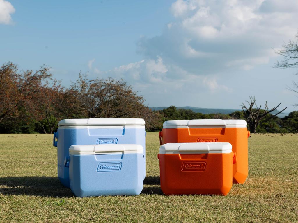 Термобокс Coleman Take 6 Идеально подходит для спорта, ланча в клубе сакуры и других мероприятий на открытом воздухе. Прочная и мощная система охлаждения для жары. (оранжевый) -