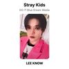 Stray Kids DO IT Blue Dream Media Официальная фотокарточка