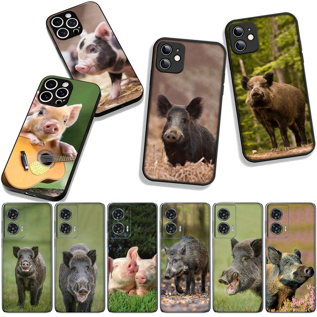 Wild Boar Pig Phone Cover for Samsung Galaxy A36 A17 A26 A07 A35 A54 A53 A13 A33 A34 S8 S9 S20 S21 FE S10 Plus Case