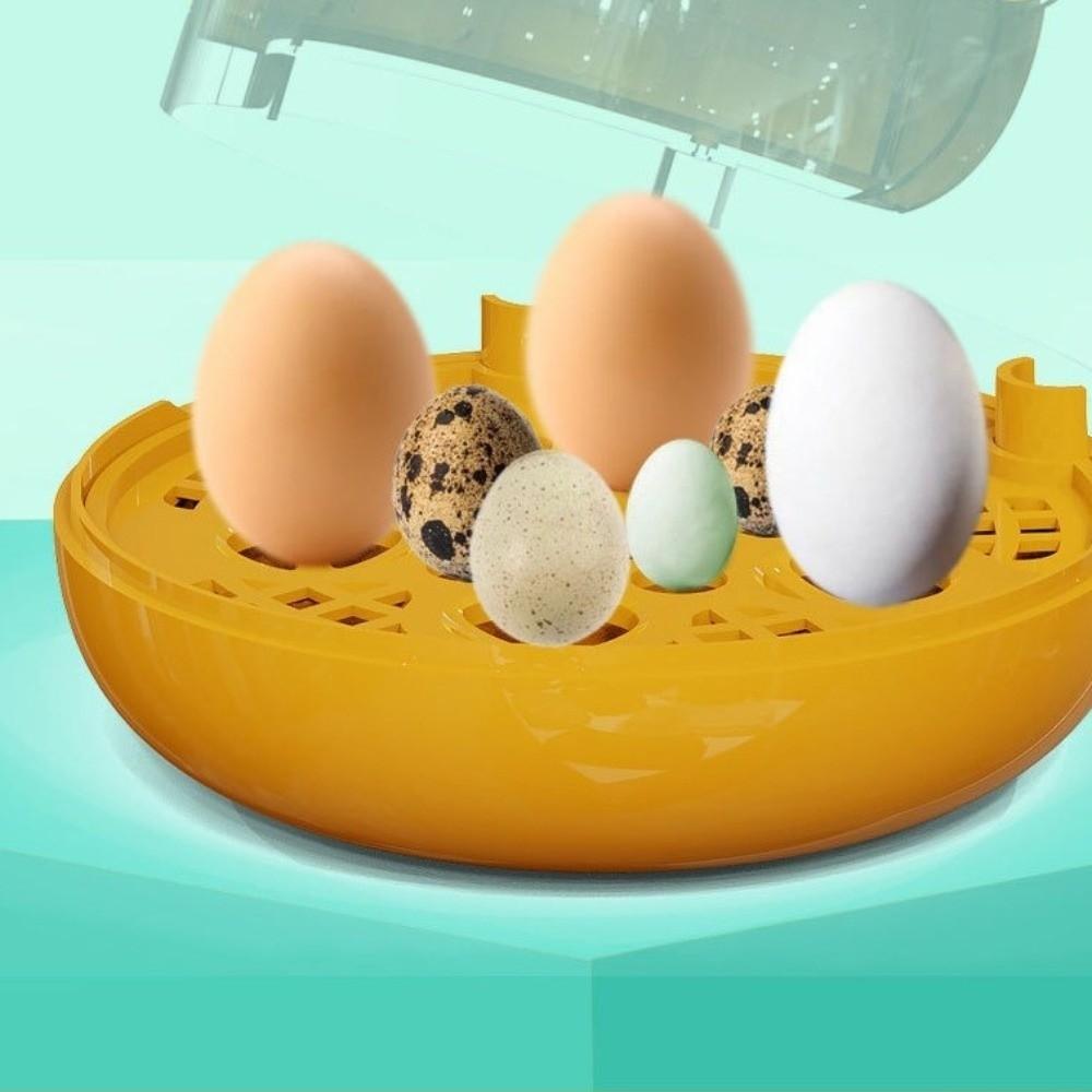 Transparent Window Eggs Hatcher Machine Humidity Control Poultry Hatcher Machine Home