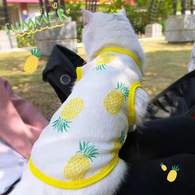 Милый тонкий летний жилет для собак с принтом медведя, одежда для собак, костюм для щенка, чихуахуа, бишона, солнцезащитный жилет для кошек и собак, охлаждающий жилет, футболка для девочек и собак