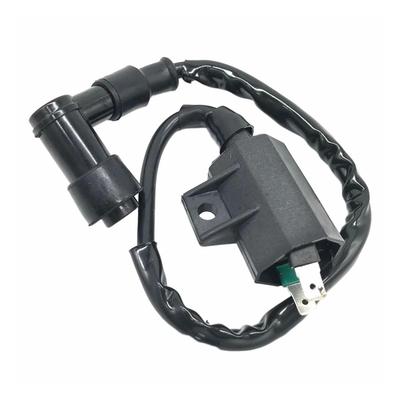 Катушка зажигания мотоцикла Катушка зажигания для Eliminator 125 KLX110 BN125 KLX300 KLR650 125CC Зажигание Стартер
