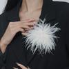 2 шт. Классические нашивки из перьев страуса для DIY Лацканов Значков Брошей Платьев Декоративный Аксессуар Роскошные Премиум Аппликации из Перьев