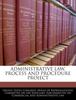 Книга Administrative Law, Process and Procedure Project