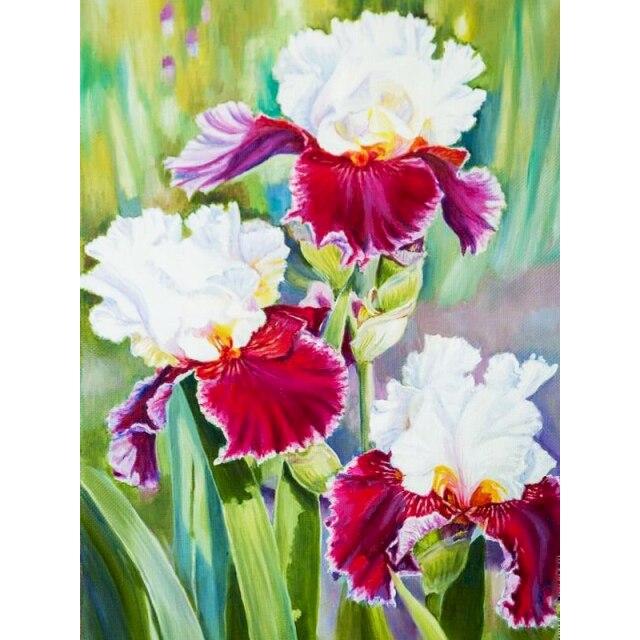 40x50 см тигр картина по номерам для взрослых DIY наборы ручная роспись животное на холсте картина маслом рисунок раскраска по номеру с рамкой