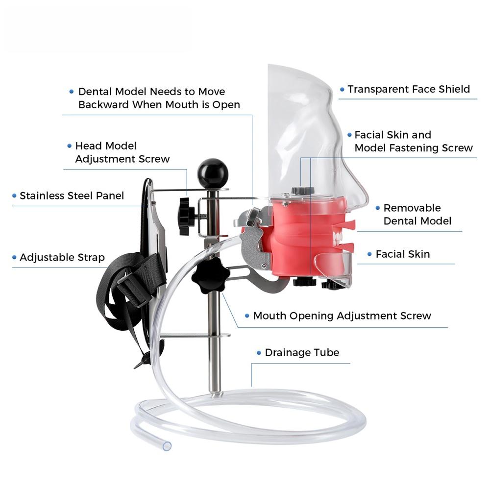 Стоматологический симулятор голова-манекен учебная голова форма типодонт модель зуба с 28 съемными зубами для практики моделирования