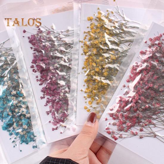 Сушёные цветы для рукоделия 12шт