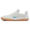 Кроссовки Zoom Nyjah 3 SB Summit White Photo Blue мужские DV7896-100
