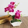 Durable Artificial Butterfly Orchid Vivid Vivid Color Realistic