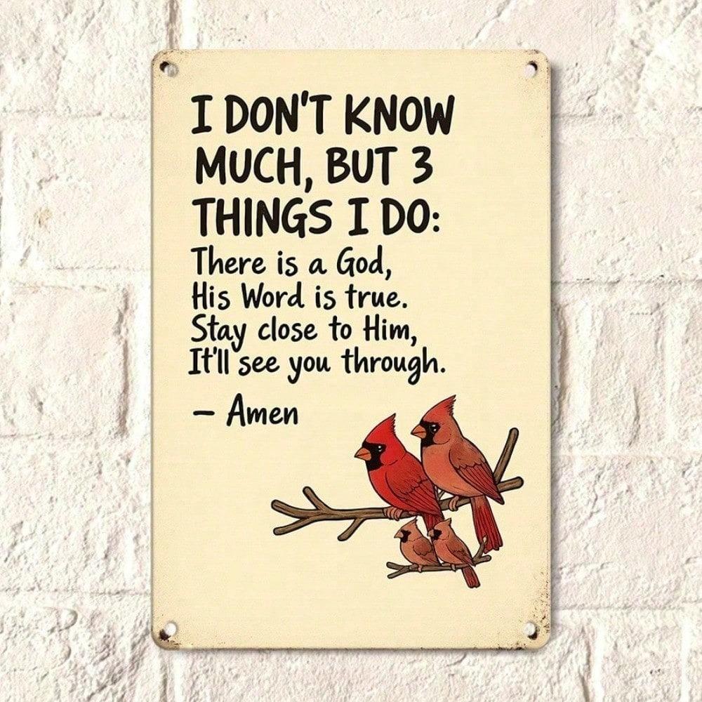 Vintage Metal Tin Sign 2D Flat I Don't Know Much But 3 Things I Do Quote Wall Plaque Durable Iron Decor Art E