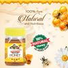 Baidyanath Asli Ayurved Pure Honey 250 G | Natural Sweetener for Daily Immunity, Energy & Skin Glow | 100% Natural & Nutrient-Rich