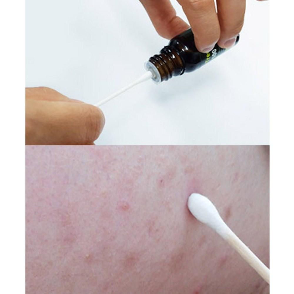 Масло чайного дерева Secret Plant 100, 10 мл, 1 шт.