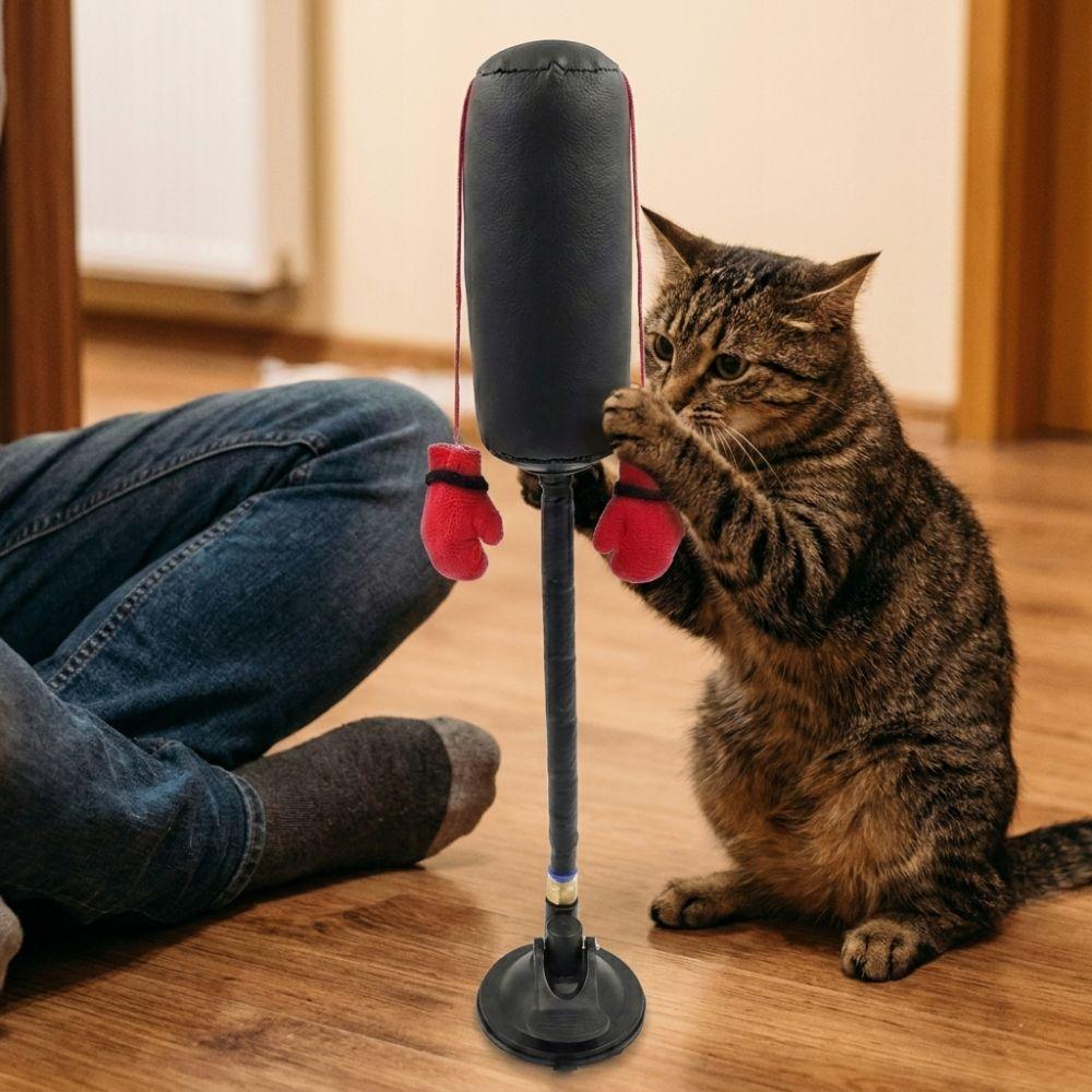 Suction Cup Cat Boxing Toy Scratch Trainer Interactive Cat Toy Cat Boxing Game Kitten Teasing