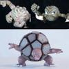 Anime Pokemon Figure Geodude Evolutionary Combination Action Figures Pvc Statue Collection Model Toys Gifts